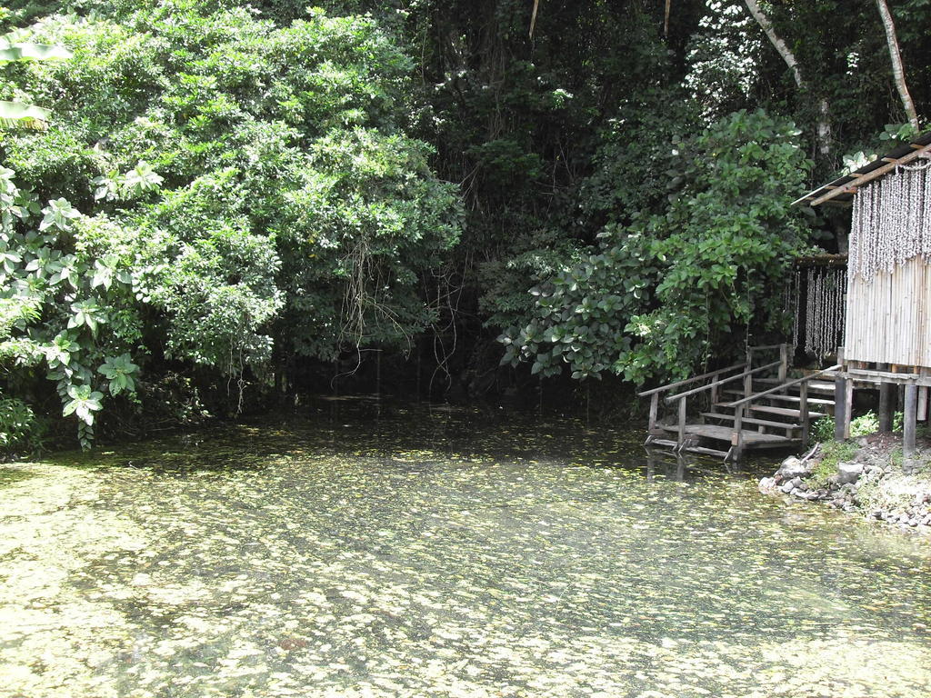 קטאמקו Reserva Ecologica Nanciyaga מראה חיצוני תמונה